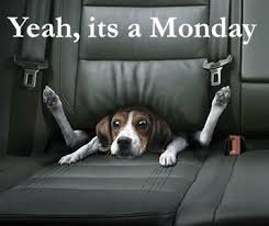 http://ian-lidster.blogspot.com/2009/02/if-your-mondays-are-awful-and-everyones.html