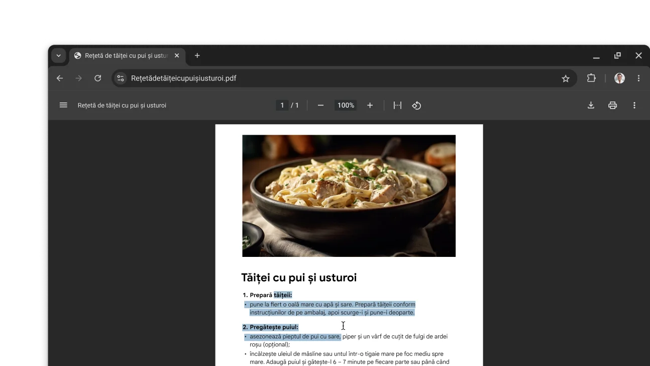 Un PDF cu o rețetă este deschis într-o fereastră de Browser Chrome. Utilizatorul a selectat text în PDF.
