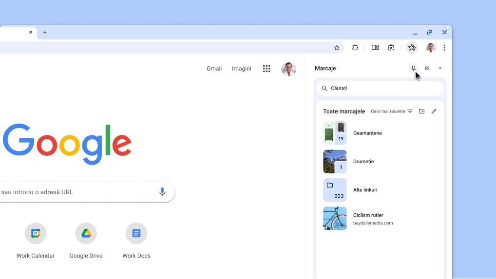 Se fixează un panou lateral Chrome în bara de instrumente