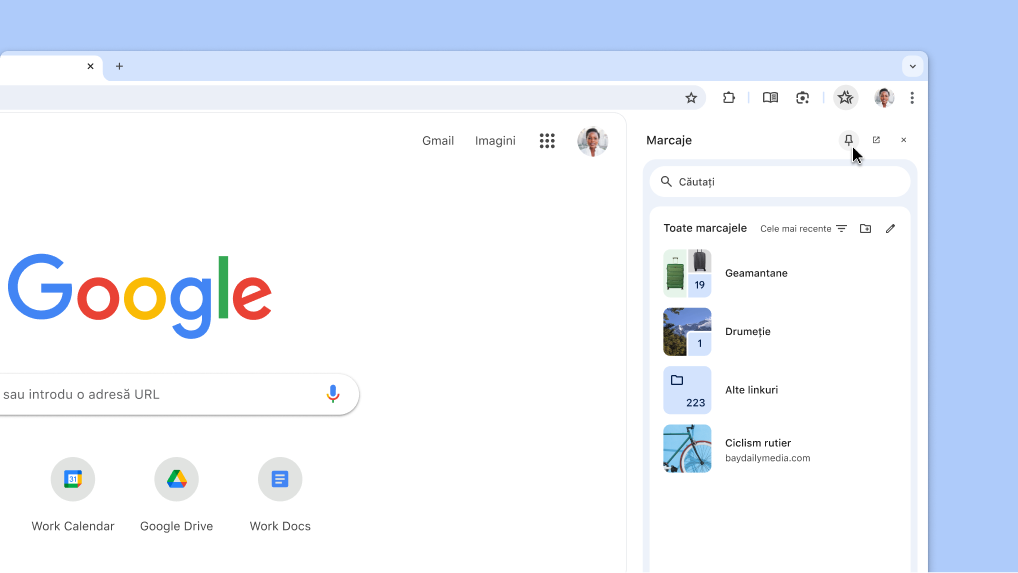 Se fixează un panou lateral Chrome în bara de instrumente
