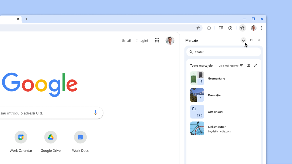 Se fixează un panou lateral Chrome în bara de instrumente